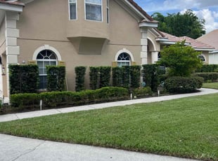 Kayla M.'s grass maintenance service result