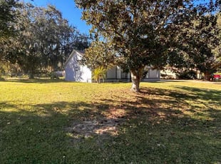 Peter C.'s lawn care service result