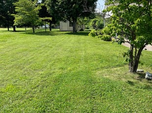 Lori M.'s turf maintenance service result