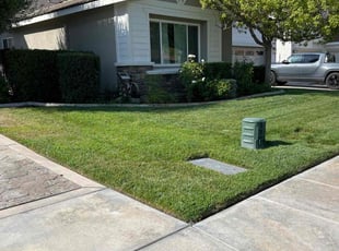 Dustin C.'s lawn maintenance service result