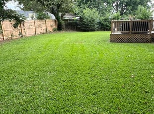 Paul M.'s turf maintenance service result