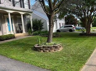 Simone J.'s lawn maintenance service result