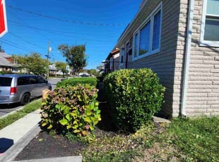 Ravi K.'s Bush Trimming service result