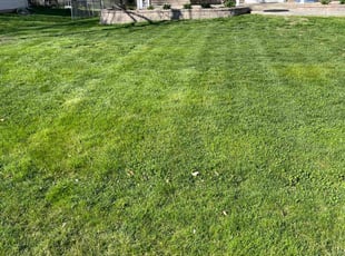 Shirley F.'s lawn care services service result