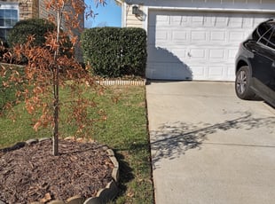 Margaret S.'s Bush Trimming service result