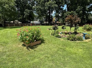 Sherry W.'s lawn maintenance service result