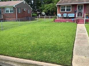 Angela W.'s grass maintenance service result