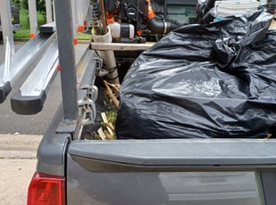 Maria H.'s Bush Trimming service result