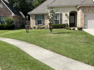 Judith B.'s turf maintenance service result