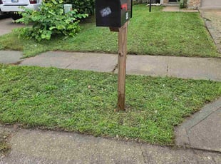 Ivy H.'s turf maintenance service result