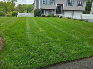 Sharon R.'s grass cutting service result