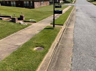 Brandi H.'s grass maintenance service result