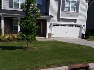 KAREN S.'s turf maintenance service result