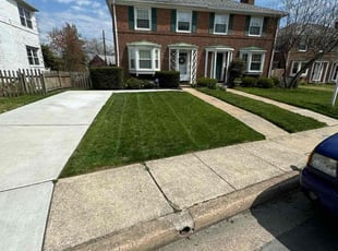 Kalvin C.'s landscaping services service result