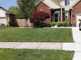 Brandon S.'s lawn care service result