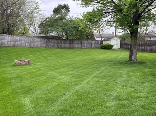 Renee C.'s grass maintenance service result