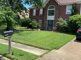 Temeka J.'s yard service service result