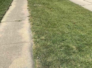 William P.'s lawn care service result