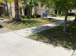 Doris L.'s grass maintenance service result