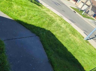 Melinda W.'s lawn service service result