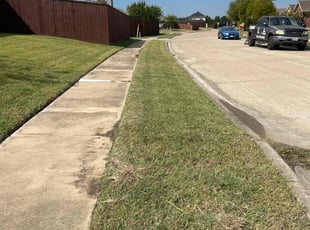 Michael V.'s turf care service result