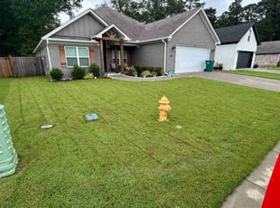 Carla G.'s yard care service result