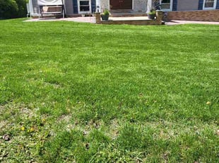 Virginia B.'s lawn maintenance service result