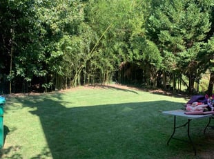 Irene A.'s lawn service service result