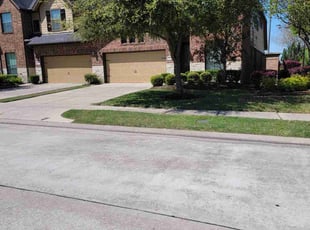 Chico M.'s landscaping service result