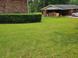 Chancy W.'s lawn care services service result