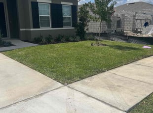 Stephen C.'s turf care service result