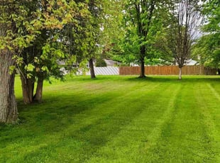 Jill B.'s turf maintenance service result