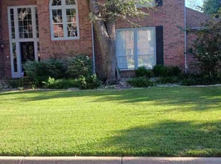 Selbia R.'s lawn care services service result