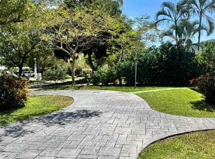 John S.'s grass maintenance service result