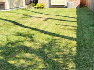 Jerard T.'s lawn care service result