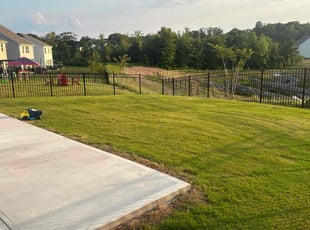 Dustin F.'s turf care service result