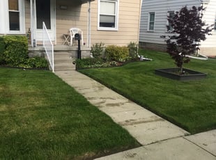 Burt S.'s Bush Trimming service result