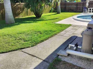 Kelly C.'s grass maintenance service result