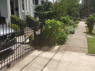 Connie L.'s Bush Trimming service result