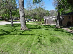Carly B.'s lawn care services service result
