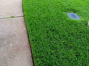 Rebecca P.'s grass cutting service result