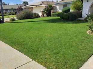 Warren S.'s turf maintenance service result