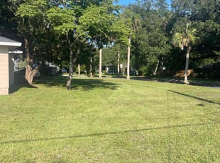 Michael T.'s turf maintenance service result