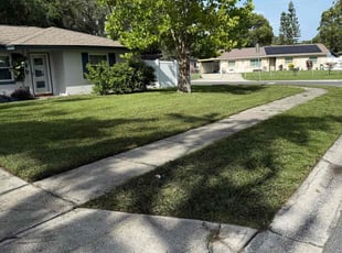 Danessa K.'s landscaping service result