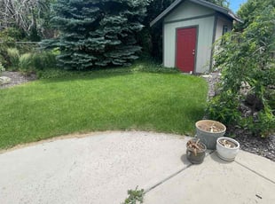 Jordan D.'s turf maintenance service result