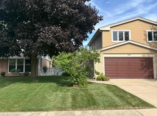 Gill D.'s turf care service result