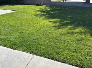 Pamela S.'s lawn care service result