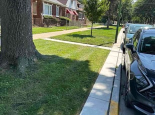 Justin M.'s grass cutting service result