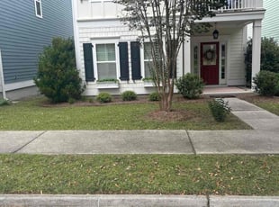 LeeAnn W.'s turf maintenance service result