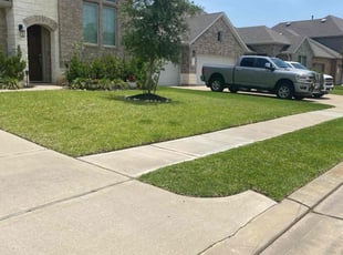 Blake Y.'s lawn service service result